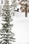 Product image 2 of the product “TRS Snowboard 2025 ”