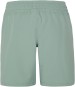Artikelbild 2 des Artikels “PRTNOOSA Boardshort 2022 green baygreen XS“