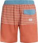 Artikelbild 2 des Artikels “PRTLOHNI Boardshort 2023 clay S“