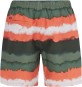 Artikelbild 2 des Artikels “PRTHAMSEY Boardshort 2024 artichoke green M“