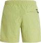 Product image 2 of the product “FASTER Boardshort 2024 algae green ”