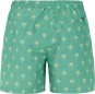 Artikelbild 2 des Artikels “PRTALVIS Boardshort 2024 frosty green S“