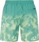 Artikelbild 2 des Artikels “PRTAGOR Boardshort 2024 frosty green S“