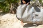 Artikelbild 2 des Artikels “WING SINGLE MID-LENGTH Boardbag 2026 ivory 5,5“