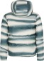 Artikelbild 2 des Artikels “PRTFEVER Jacke 2025 evergreen “