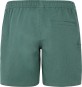 Product image 2 of the product “PRTAGAAT Boardshort 2025 veggie green ”