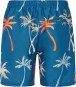 Artikelbild 2 des Artikels “PRTHEAR 19 Boardshort 2025 raku blue S“