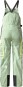 Product image 2 of the product “WOMEN DRAGLINE BIB Pant 2024 misty sage XS”
