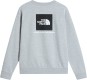 Artikelbild 2 des Artikels “EVOLUTION BOX NSE Sweater 2027 tnf pale grey heather XXL“