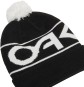 Artikelbild 2 des Artikels “FACTORY CUFF Mütze 2025 black/white logo “