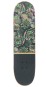 Artikelbild 2 des Artikels “PLANTS Skateboard 2026 “