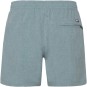 Artikelbild 2 des Artikels “DAVEY Boardshort 2026 arctic green XXXL“