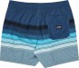 Artikelbild 2 des Artikels “ALL DAY LAY STRIPE 16 Boardshort 2026 navy L“