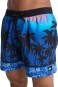 Artikelbild 2 des Artikels “EVERYDAY PRINTED 15 Boardshort 2026 monaco blue holmes L“