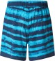 Product image 2 of the product “BLUR STRIPES RC BEACH 16 Boardshort 2024 blue ”