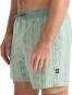 Artikelbild 2 des Artikels “SHOREY 16 Boardshort 2026 stripe sea foam M“