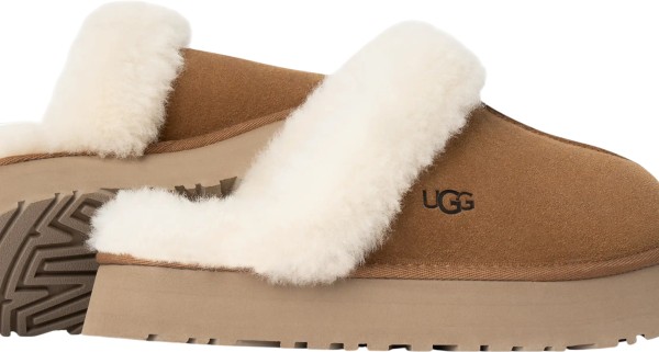 DISQUETTE Hausschuh 2026 chestnut 