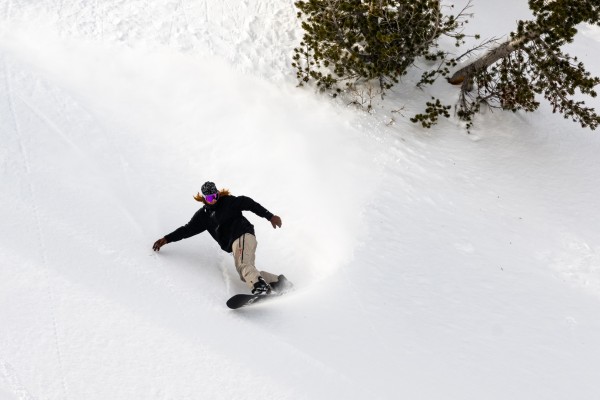 SKUNK APE WIDE Snowboard 2025 