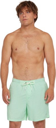 VERT 16 Boardshort 2025 mildrew mint 