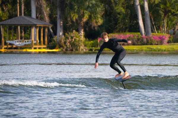 BACK WING STABILIZER PX 2026 195