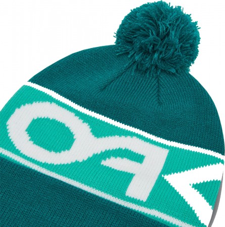 FACTORY CUFF Mütze 2022 green lake 