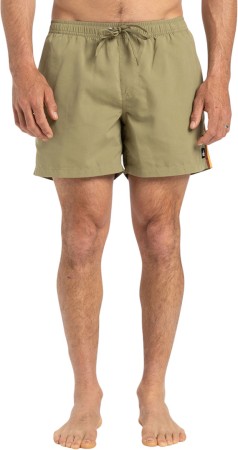 EVERYDAY BEACH 15 Boardshort 2025 aloe 