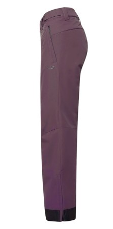 WOMENS INSULATED LTD Hose 2025 dark toadstool 