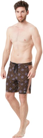 ANDY 17 PRINTED Boardshort 2025 alpine alps print 