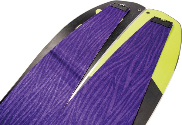 SQUASH Felle 2024 purple 