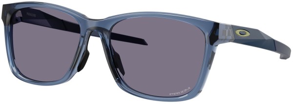 PARACORD Sonnenbrille transparent abyss/prizm grey 