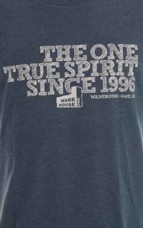 THE TRUE SPIRIT T-Shirt melange denim 