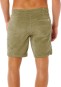 Artikelbild 3 des Artikels “CLASSIC SURF CORD Walkshort 2026 surplus green 30“
