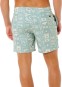 Artikelbild 3 des Artikels “SESSIONS VOLLEY 16 Boardshort 2026 aloe XXL“