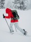 Product image 3 of the product “AK GORE TEX SUMMIT INSULATED Pant 2024 grey cloud ”