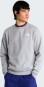 Artikelbild 3 des Artikels “EVOLUTION BOX NSE Sweater 2027 tnf pale grey heather XXL“