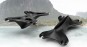 Product image 3 of the product “SPECTRUM Wingfoil Mastbase ”