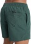 Artikelbild 3 des Artikels “EVERYDAY 15 Boardshort 2026 forest heather XS“