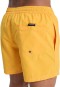 Product image 3 of the product “EVERYDAY 15 Boardshort 2026 radiant yellow XXL”