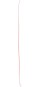 Artikelbild 3 des Artikels “PROGRESS WHITE Snowboard 2024 139“
