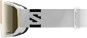 Product image 3 of the product “S/VIEW 3 ACCESS Goggle 2027 white/gold ”