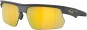 Product image 3 of the product “BISPHAERA Sunglasses matte carbon/prizm 24k polarized ”