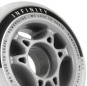 Artikelbild 3 des Artikels “INFINITY II Rolle 2022 “