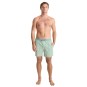 Artikelbild 3 des Artikels “SHOREY 16 Boardshort 2026 stripe sea foam M“