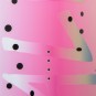Artikelbild 3 des Artikels “SALMON Wakeboard 2021 “
