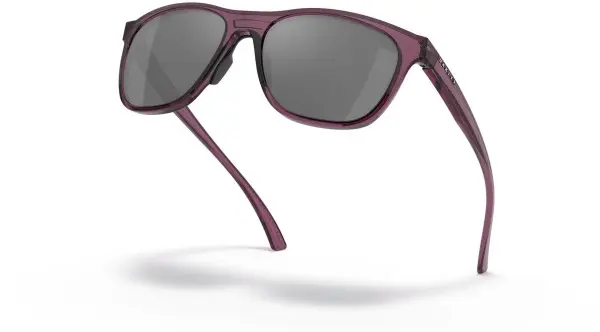 LEADLINE Sunglasses trans indigo/prizm black 