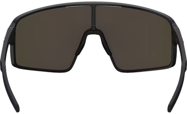 P001 Sonnenbrille 2025 matte black/brown pink multicolor 