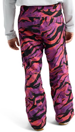 AK GORE TEX SWASH Pant 2026 slash multi 