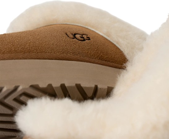 DISQUETTE Hausschuh 2026 chestnut 