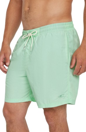 VERT 16 Boardshort 2025 mildrew mint 