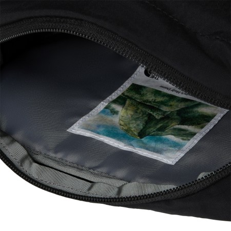 BERKELEY LUMBAR Gürteltasche 2025 tnf black/mineral gold 